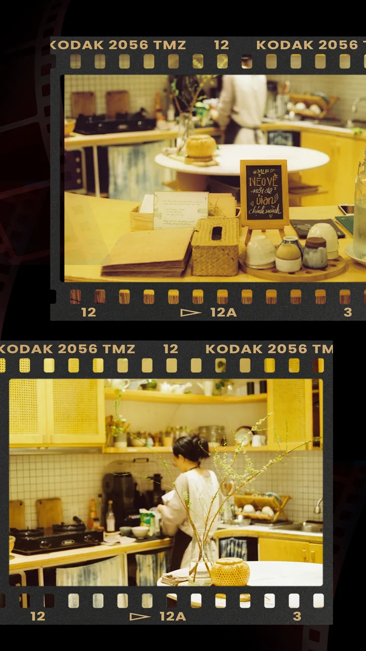 Film Cam — film strip photos of cats